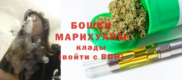 не бодяженный Новозыбков