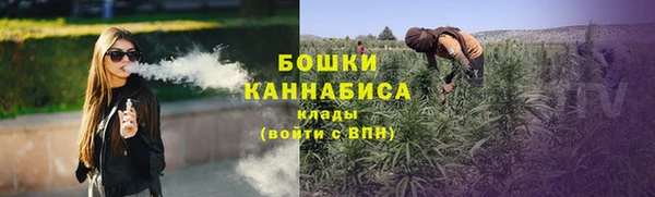 не бодяженный Новозыбков