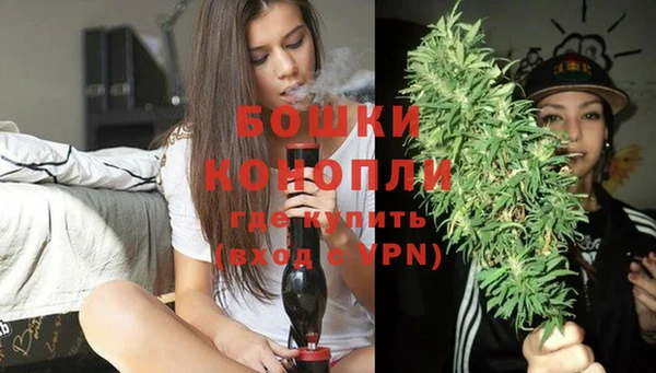не бодяженный Новозыбков