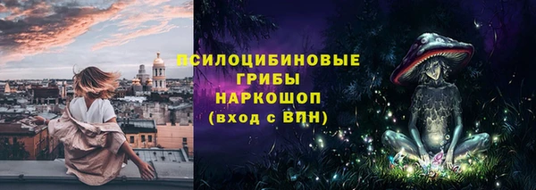 не бодяженный Новозыбков