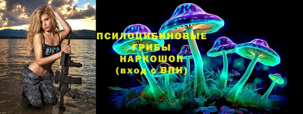 трава Новокубанск